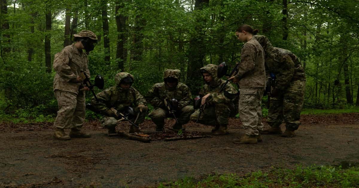 Average IQ by Military Branch: What Selection Tests and Research Actually Show