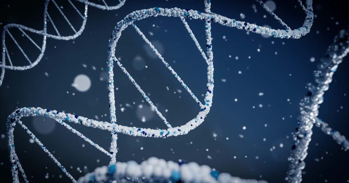 Is IQ Genetic or Environmental? Nature vs. Nurture