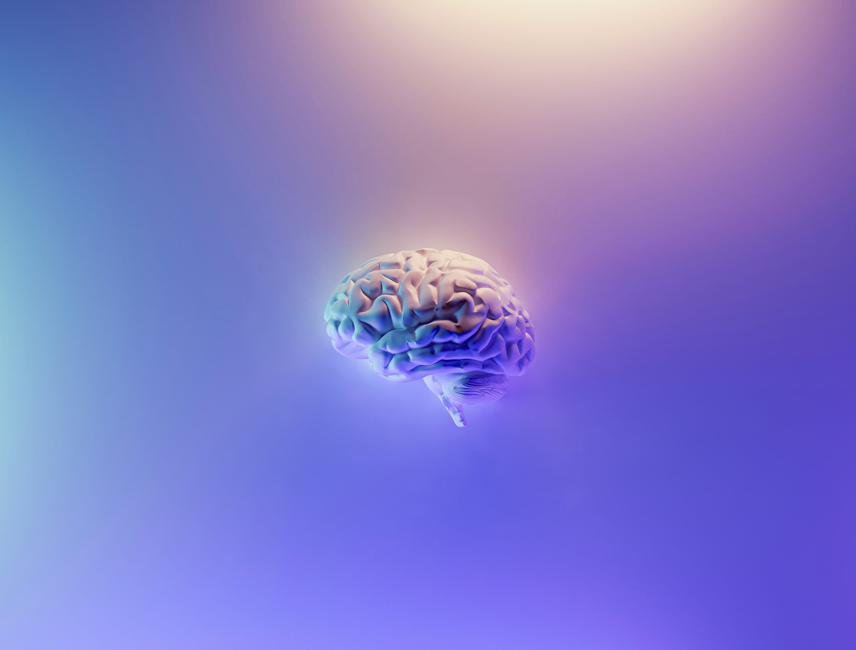 IQ130はどのくらいすごい？上位何%・特徴・メンサとの関係を解説
